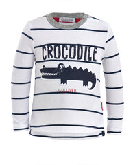 Полосатая футболка с длинным рукавом для мальчиков «Gulliver» цена и информация | Рубашки для мальчиков | kaup24.ee
