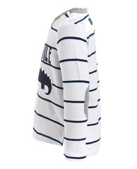 Полосатая футболка с длинным рукавом для мальчиков «Gulliver» цена и информация | Рубашки для мальчиков | kaup24.ee