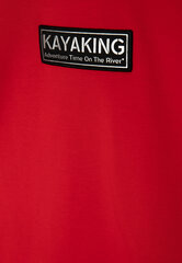 Лонгслив красный с принтом для мальчиков «Gulliver», 104*56*51 cm цена и информация | Рубашки для мальчиков | kaup24.ee