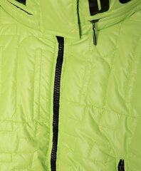 Куртка демисезонная салатовая с капюшоном для девочек «Gulliver», 134*68*60 cm цена и информация | Куртки, пальто для девочек | kaup24.ee