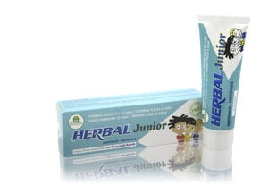 Laste piparmündimaitseline hambapasta Natura House Herbal Junior 50 ml hind ja info | Laste ja ema kosmeetika | kaup24.ee