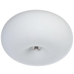 Лампа OPTICA цена и информация | Потолочные светильники | kaup24.ee
