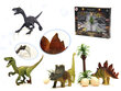 Dinosauruse kujukeste komplekt, 14 tk hind ja info | Arendavad mänguasjad | kaup24.ee