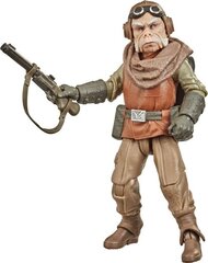 Hasbro Star Wars The Mandalorian Kuiil hind ja info | Fännitooted mänguritele | kaup24.ee