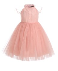 Розовое нарядное платье из сетки для девочек «Gulliver» цена и информация | Платья для девочек | kaup24.ee
