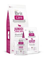 Сухой корм Brit Care Junior Large Breed Lamb & Rice для щенков и молодых собак крупных пород, 3 кг цена и информация | Сухой корм для собак | kaup24.ee