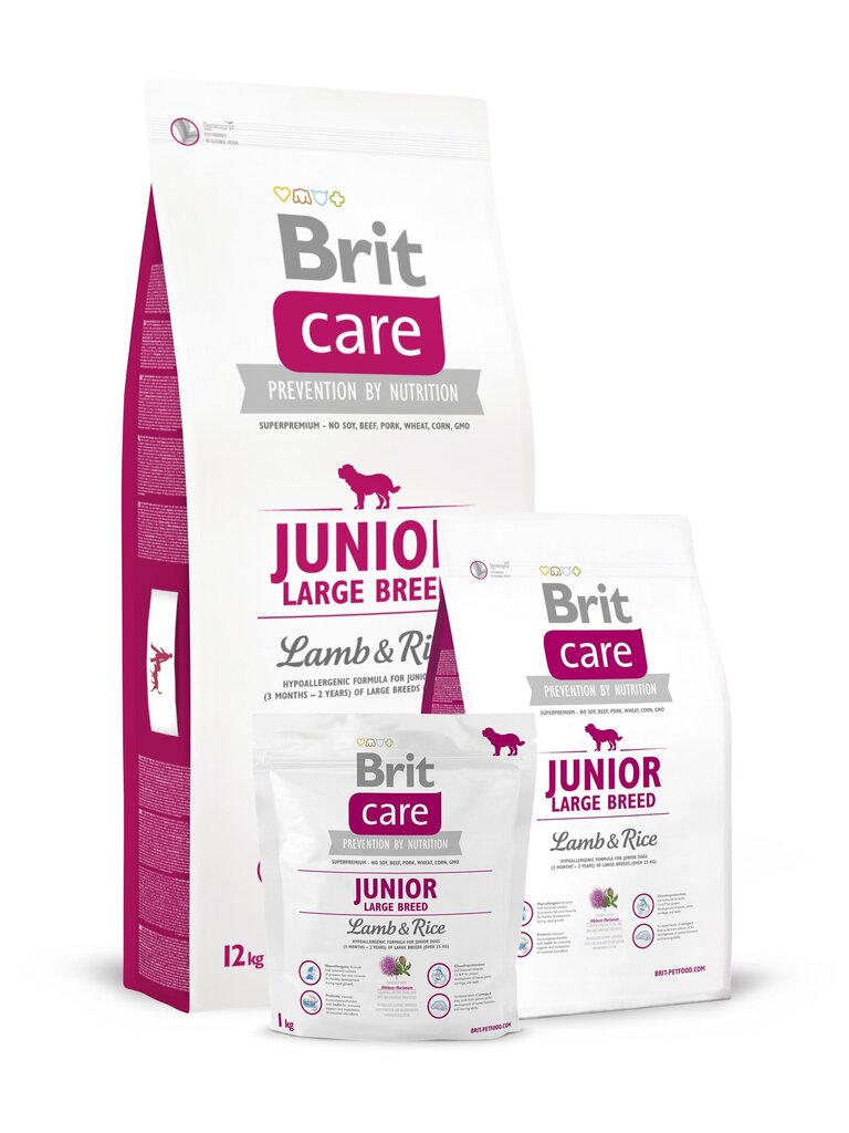 Brit Care Junior Large Breed Lamb & Rice 3 kg цена и информация | Kuivtoit koertele | kaup24.ee