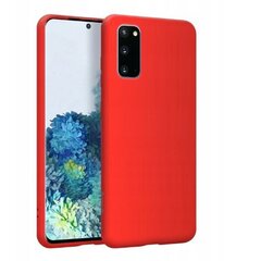 Vedel silikoon ümbris Samsung Galaxy S20, punane цена и информация | Liquid Мобильные телефоны, Фото и Видео | kaup24.ee