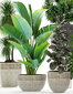 Keraamiline lillepott Ecolite 36 x 31(K) cm, hall цена и информация | Dekoratiivsed lillepotid | kaup24.ee