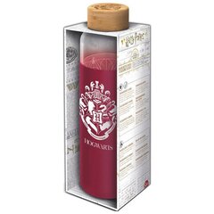 Harry Potter silikoonkaanega klaaspudel 585 ml hind ja info | Fännitooted mänguritele | kaup24.ee