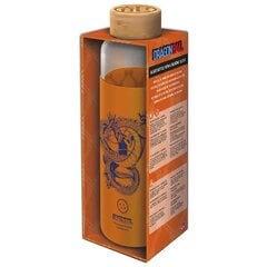 Dragon Ball Z silikoonkaanega klaaspudel 585 ml hind ja info | Fännitooted mänguritele | kaup24.ee