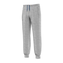 Брюки Adidas M Feelcozy Pant Grey HL2243 цена и информация | Мужская спортивная одежда | kaup24.ee