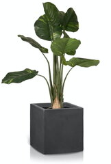 Keraamiline lillepott Ecolite, kandiline, tumehall, 40 x 40 (K) cm hind ja info | Dekoratiivsed lillepotid | kaup24.ee