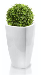 Керамический цветочный горшок Mood, квадратный, белый, 38 х 61 (А) см цена и информация | Вазоны | kaup24.ee