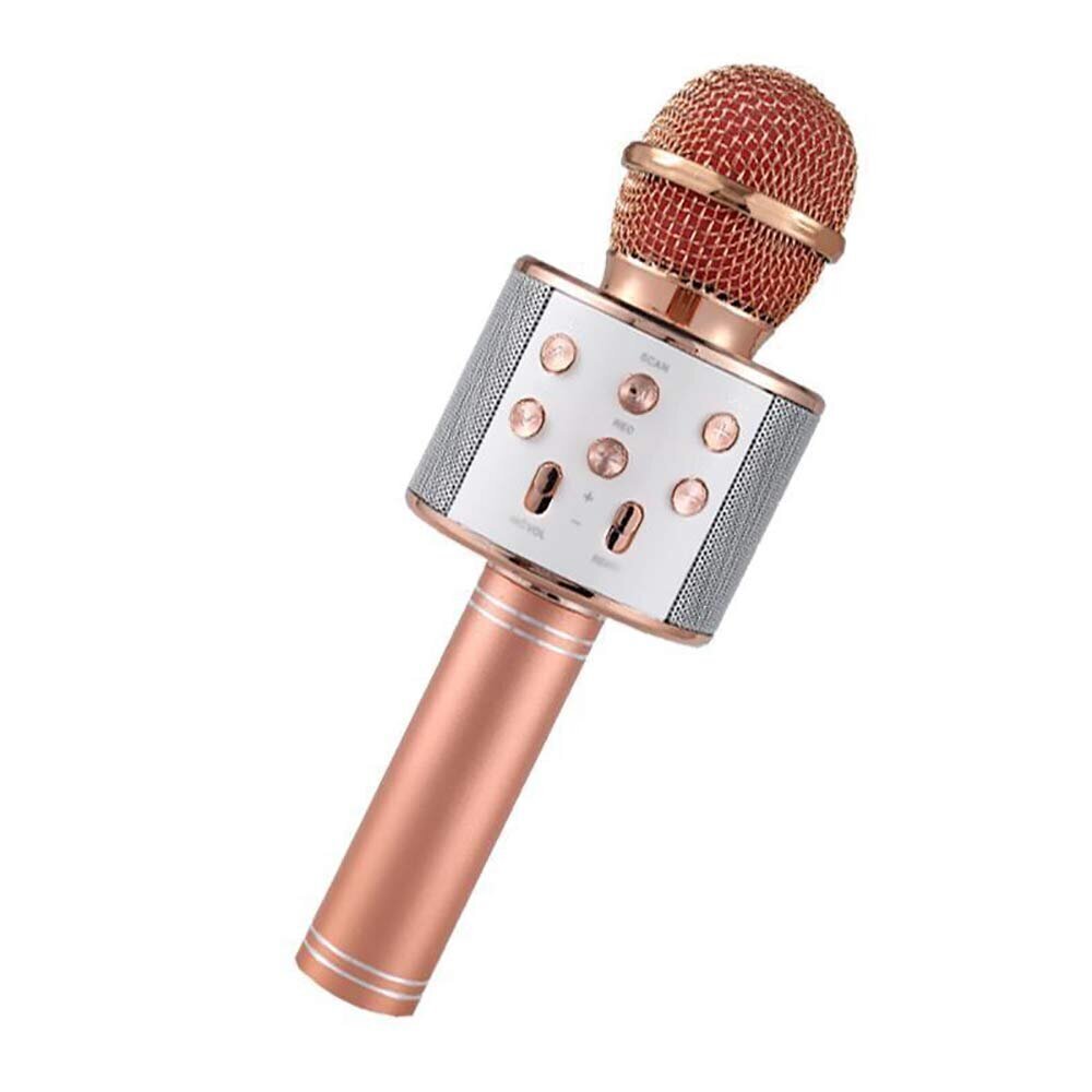 Mikrofon häälvahetuse efektidega цена и информация | Arendavad mänguasjad | kaup24.ee