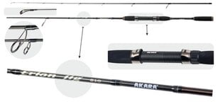 Spinning AKARA «ERION Jig (2-8) TX-30» 2X 248 cm hind ja info | Ridvad, ridvahoidjad | kaup24.ee