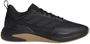 Обувь Adidas Trainer V Black GX0728 GX0728/10 цена и информация | Кроссовки для мужчин | kaup24.ee