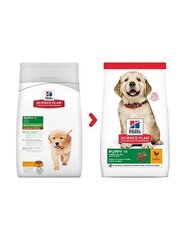 Hill's Science Plan Puppy Large Breed toit kutsikatele kanaga, 14,5 kg цена и информация | Сухой корм для собак | kaup24.ee