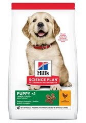 Корм Hill's Science Plan Puppy Large Breed корм для щенков с курицей, 14,5 кг цена и информация | Сухой корм для собак | kaup24.ee