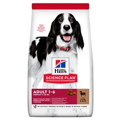Корн для собак с бараниной и рисом Hill's Science Plan Medium Adult, 18 кг цена и информация | Сухой корм для собак | kaup24.ee