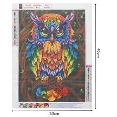 Teemant mosaiik, öökull, 30x40 цена и информация | Алмазная мозаика | kaup24.ee