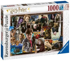 Pusle Harry Potter vs Voldemort 1000 tk цена и информация | Пазлы | kaup24.ee