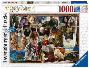 Гарри Поттер: Гарри Поттер: vs Волан-де-Морт Пазл, 1000 деталей цена и информация | Пазлы | kaup24.ee