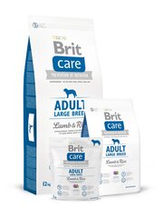 Brit Care Adult Large Breed Lamb & Rice полноценный корм для взрослых собак 3кг цена и информация | Сухой корм для собак | kaup24.ee