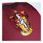 Harry Potter Gryffindor seljakott 44cm hind ja info | Koolikotid, sussikotid | kaup24.ee