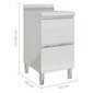 vidaXL 2 sahtliga köögikapp, roostevaba teras цена и информация | Köögikapid | kaup24.ee
