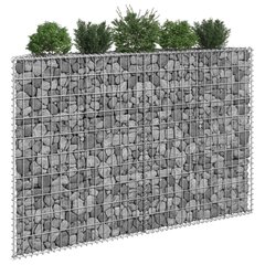 vidaXL gabioon-taimelava, tsingitud teras, 150 x 20 x 100 cm hind ja info | Istutus- ja turbapotid | kaup24.ee