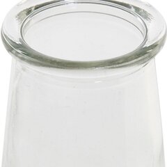 Klaaspudel DKD Home Decor Läbipaistev (800 ml) hind ja info | Joogipudelid | kaup24.ee