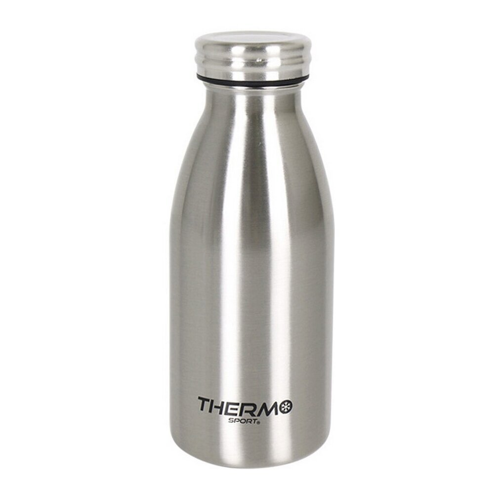 Termos Quttin Silver T (350 ml) цена и информация | Termosed, termostassid | kaup24.ee