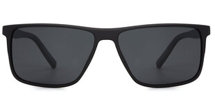 Päikeseprillid Label 1247 Polarized hind ja info | Meeste päikeseprillid | kaup24.ee