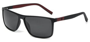 Päikeseprillid Label 1246 Polarized hind ja info | Meeste päikeseprillid | kaup24.ee