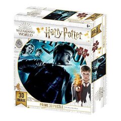 3D Pusle Harry Potter (500 pcs) цена и информация | Пазлы | kaup24.ee