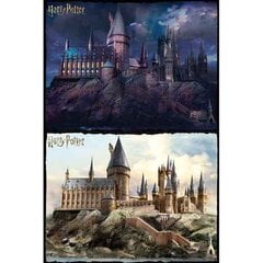 Головоломка Harry Potter Hogwarts Day and Night (500 Пред.) цена и информация | Пазлы | kaup24.ee