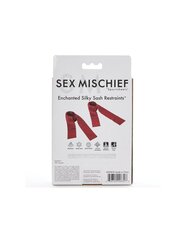 Набор Sexy Slave Sex & Mischief цена и информация | БДСМ и фетиш | kaup24.ee