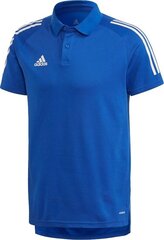 Meeste T-särk Adidas цена и информация | Мужская спортивная одежда | kaup24.ee