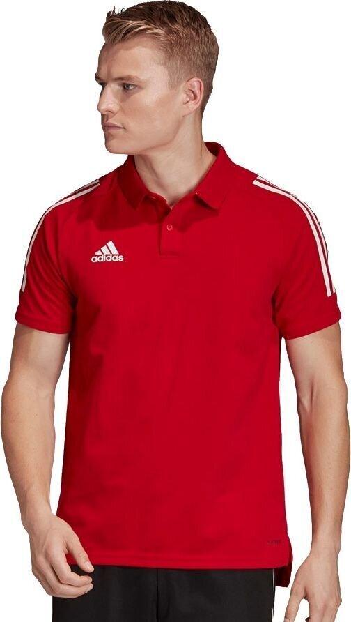 Meeste T-särk Adidas hind ja info | Meeste spordiriided | kaup24.ee