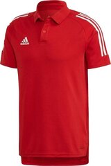 Meeste T-särk Adidas цена и информация | Мужская спортивная одежда | kaup24.ee