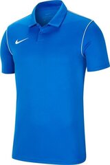 Мужская футболка Nike цена и информация | Meeste T-särgid | kaup24.ee