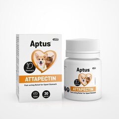 Добавка Aptus для собак и кошек Attapectin 30 таблеток цена и информация | Пищевые добавки и анти-паразитные товары | kaup24.ee
