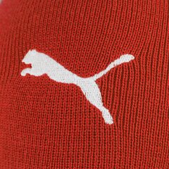 Laste vabaaja müts PUMA BEANIE - 02121001 02121001.X, punane цена и информация | Шапки, перчатки, шарфы для мальчиков | kaup24.ee