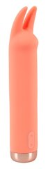 Peachy Mini Tittle Vibrator hind ja info | Vibraatorid | kaup24.ee
