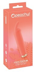 Peachy Mini Tittle Vibrator hind ja info | Vibraatorid | kaup24.ee