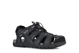 Geox meeste sandaalid MO SANDAL STRADA цена и информация | Мужские шлепанцы, босоножки | kaup24.ee