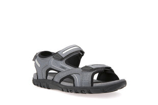 Geox meeste sandaalid MO SANDAL STRADA hind ja info | Meeste plätud, sussid | kaup24.ee