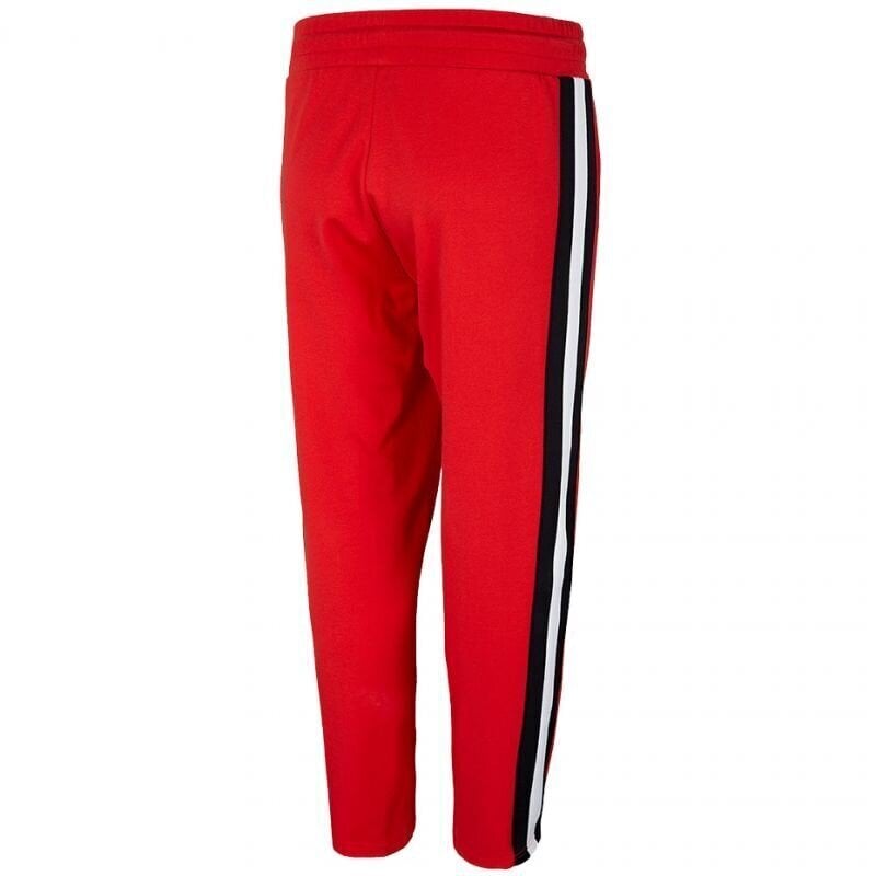 Naiste spordipüksid 4F, punased hind ja info | Naiste spordiriided | kaup24.ee
