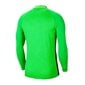 Poiste spordisärk Nike Gardien III GK LS BV6743-398 (54497) цена и информация | Poiste särgid | kaup24.ee